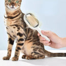 Escova Anti-Pelos Silicone